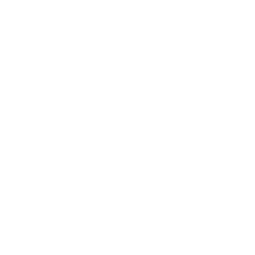 artist-coordinator-53