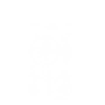 camera-loader-57