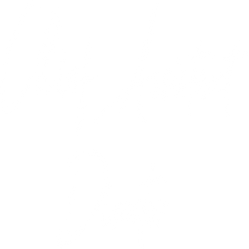 chief-assistant-director-26