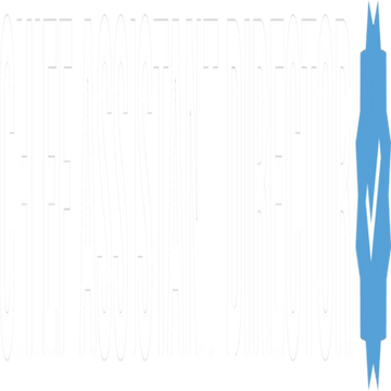 chief-assistant-director-30