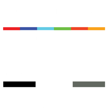 chief-assistant-director-34