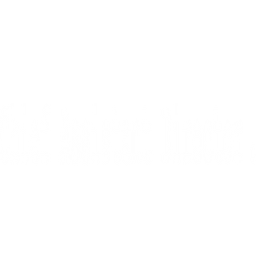 chief-assistant-director-78