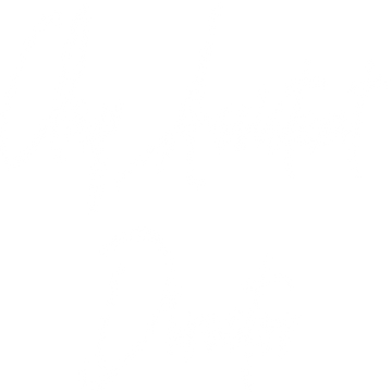 clap-assistant-director-45