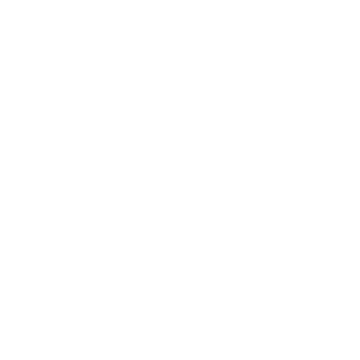 colourist-18