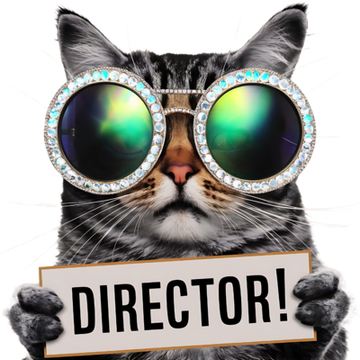 director-33