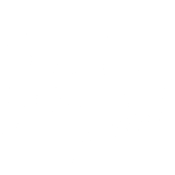 directors-assistant-12