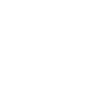 motion-control-assistant-40