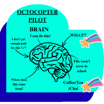 octocopter-pilot-11