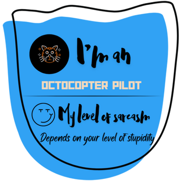 octocopter-pilot-28