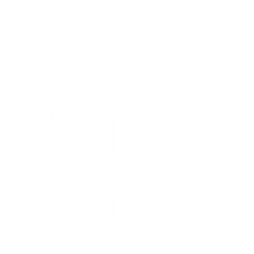 script-head-20