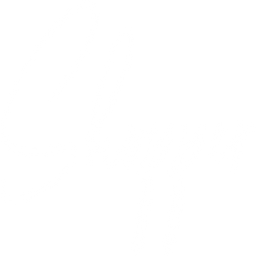 shopper-43
