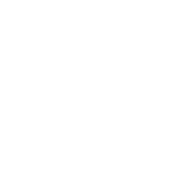 steadicam-operator-46