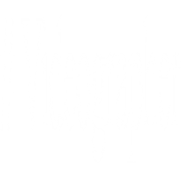 videographer-67