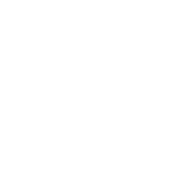 videographer-78