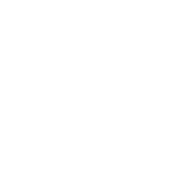 warpcam-operator-61