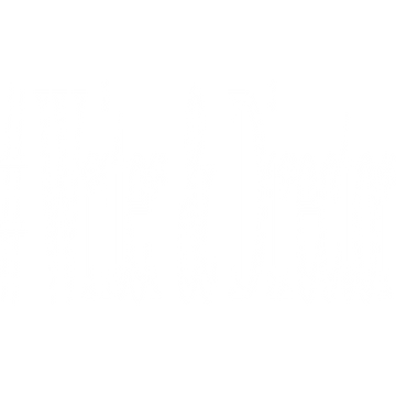 writer-and-director-13