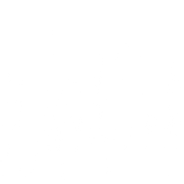 writer-and-director-66