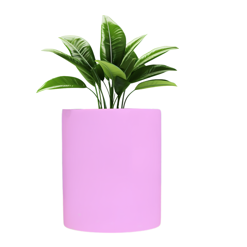 Planter Pot Desichalchitra