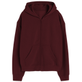 Elegant Zipper Hoodie Desichalchitra