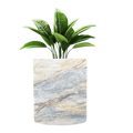 Planter Pot Desichalchitra