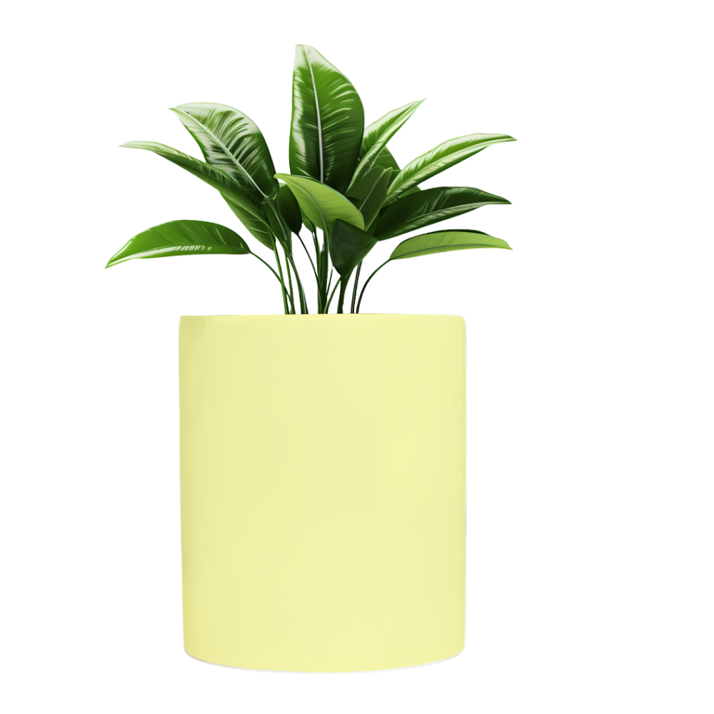 Planter Pot Desichalchitra